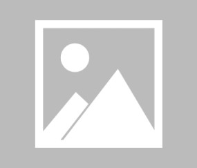 开云官网-网坛巨星跨界引爆篮网主场！莎拉波娃惊天逆转诠释运动真谛，莎拉波娃篮网主场跨界演绎惊天逆转，诠释运动真谛！