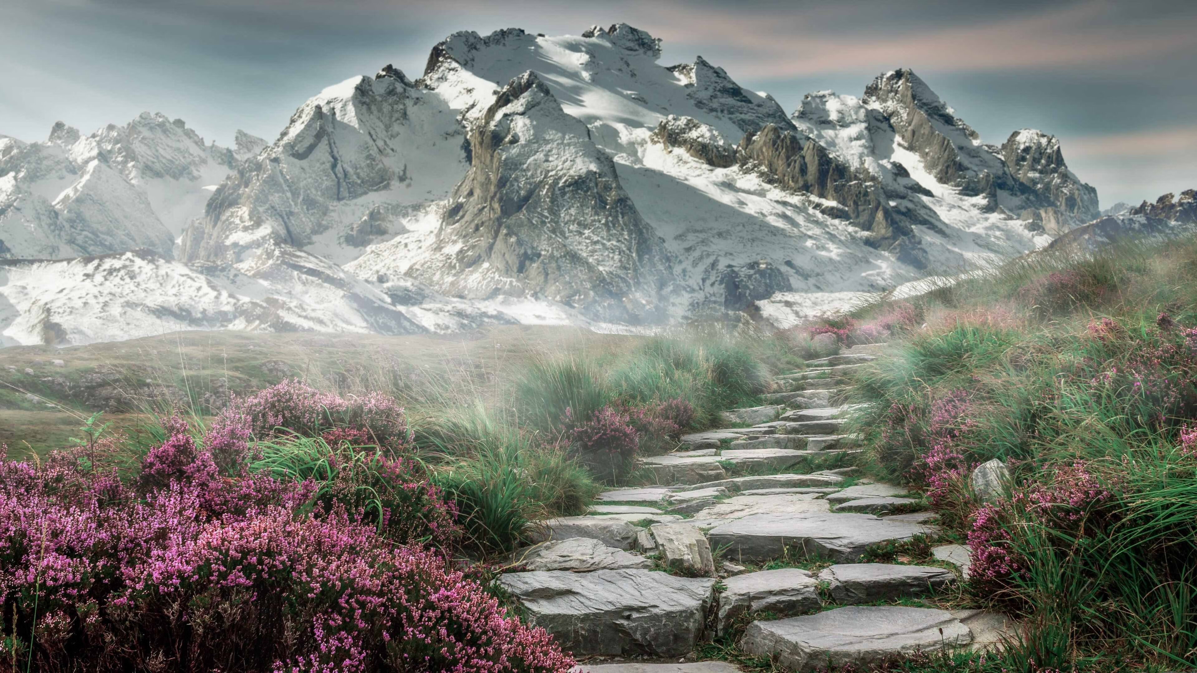 v7.2.5 版本发布，2026年4月1日，一次超越愚人节的扎实进化