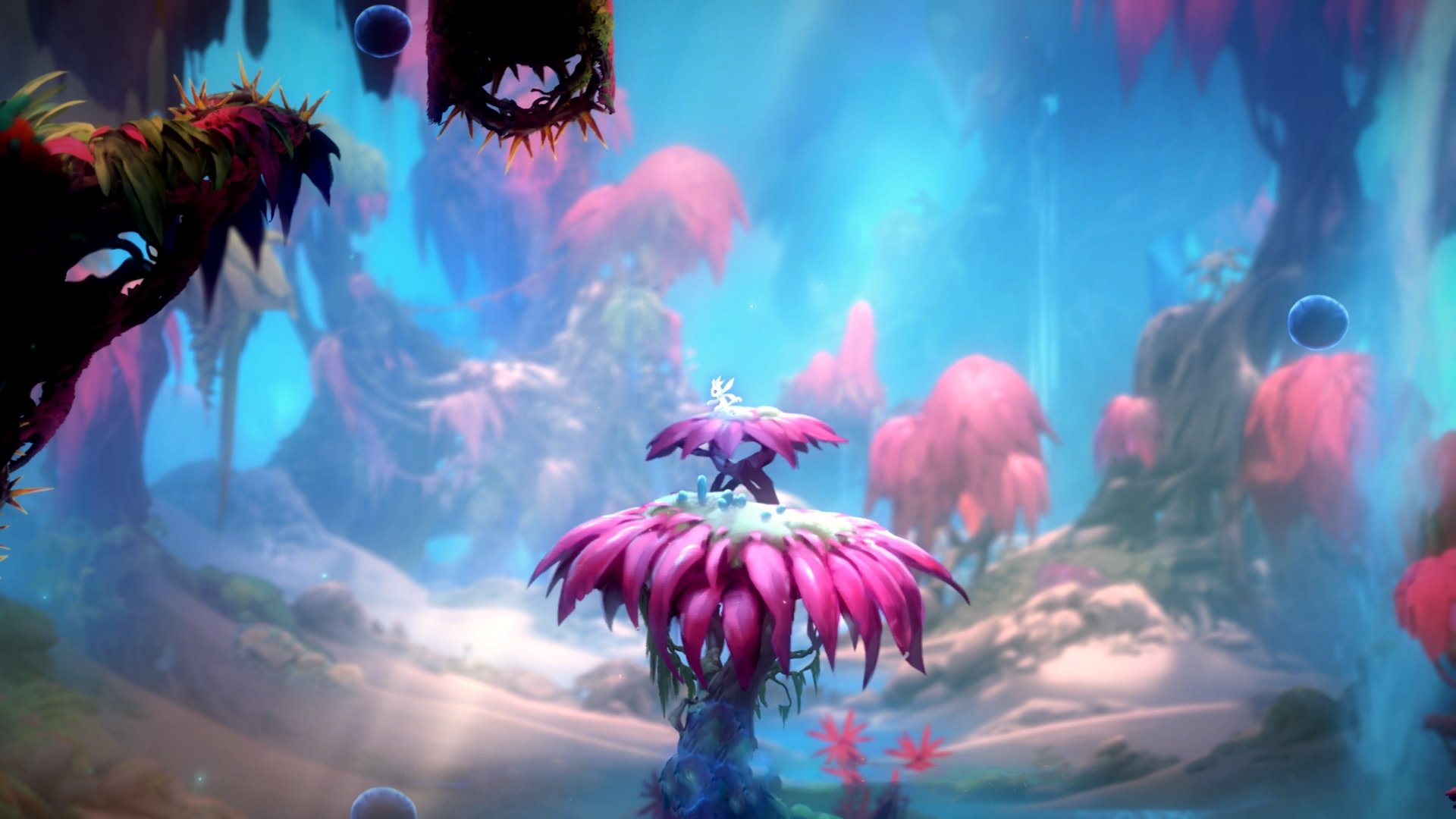 v7.2.5，2026年8月30日，一次定义稳定的进化